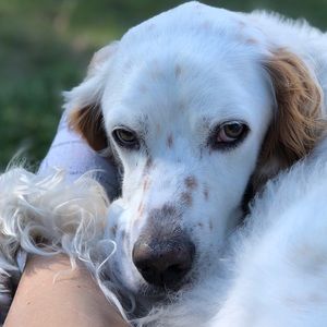 Meet your Posher, Sally